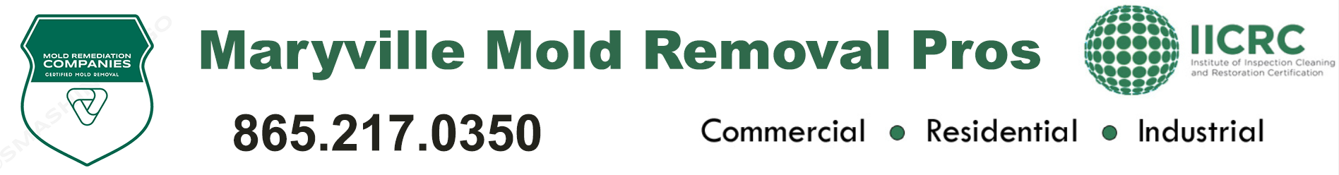 Maryville Mold Removal Pros